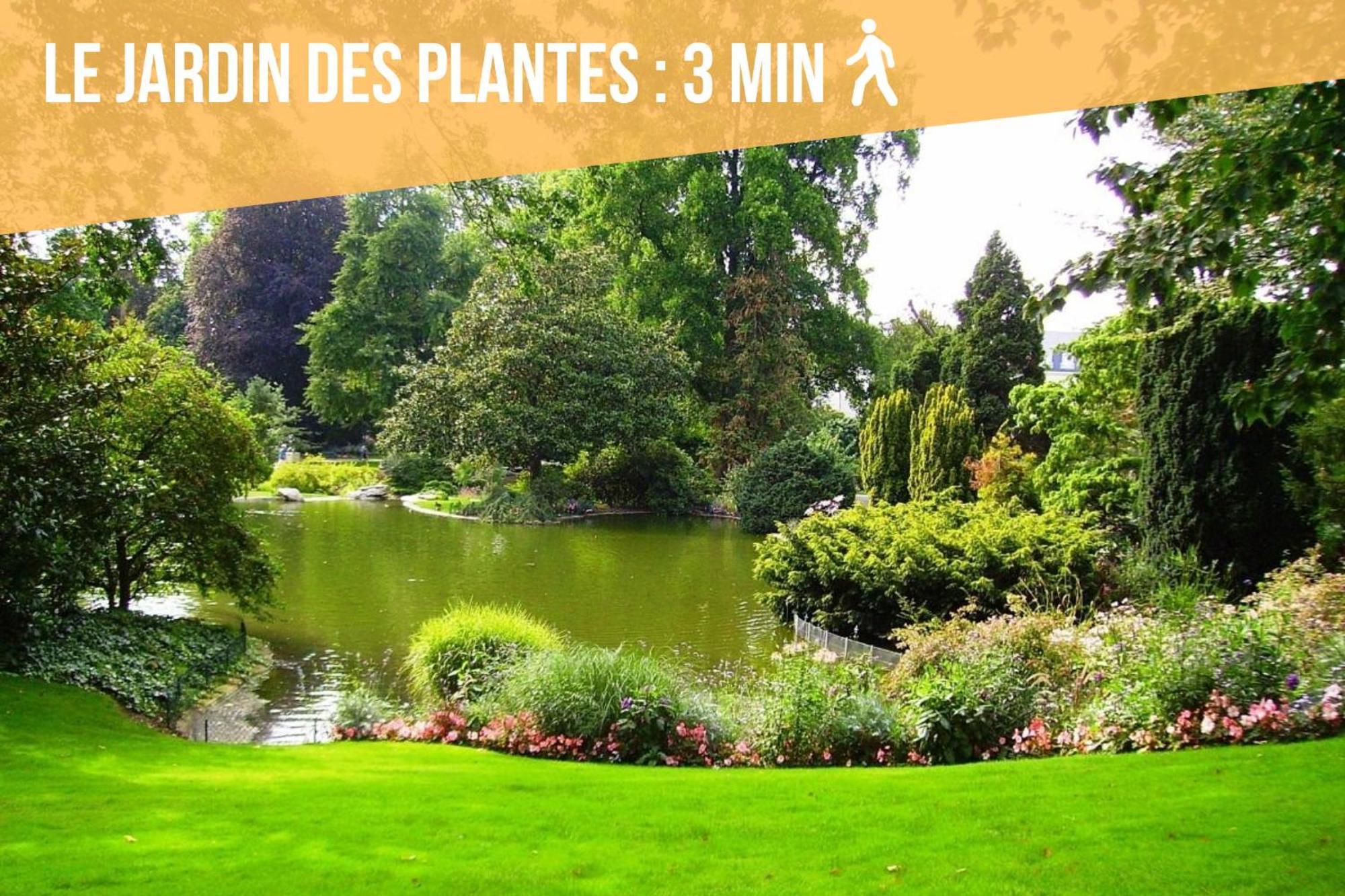 Appartement Coeur De Ville Angers Ngoại thất bức ảnh